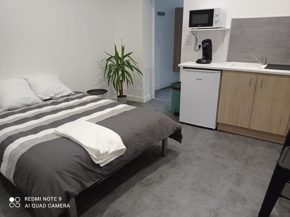 Ravissant Studio Apartment in Grand Est
