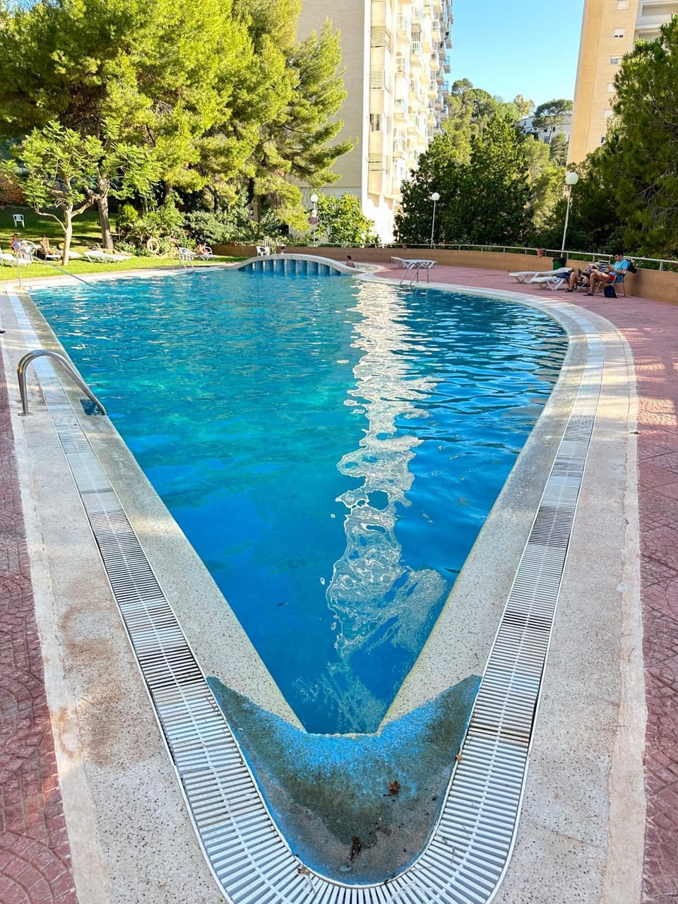 Garden, Swimming pool, Swimming pool