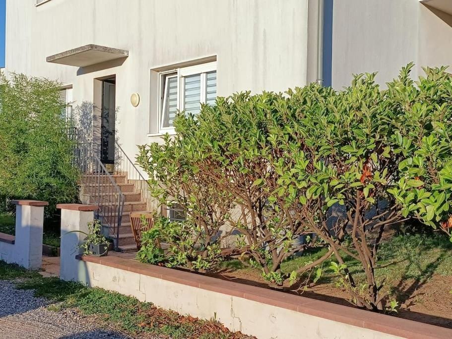 Facade/entrance, Garden