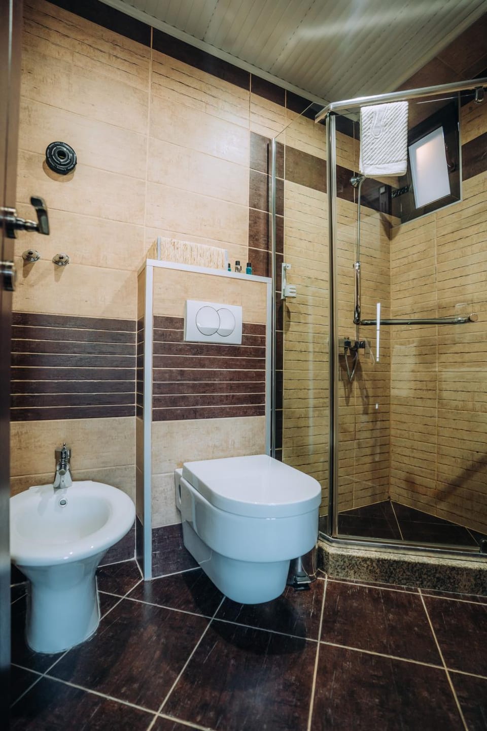 Shower, Toilet, Bathroom, bidet