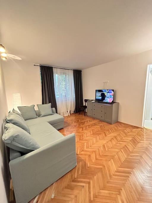 Central location #12lunipebega Apartment in Timisoara