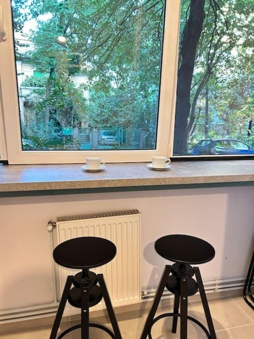 Central location #12lunipebega Apartment in Timisoara
