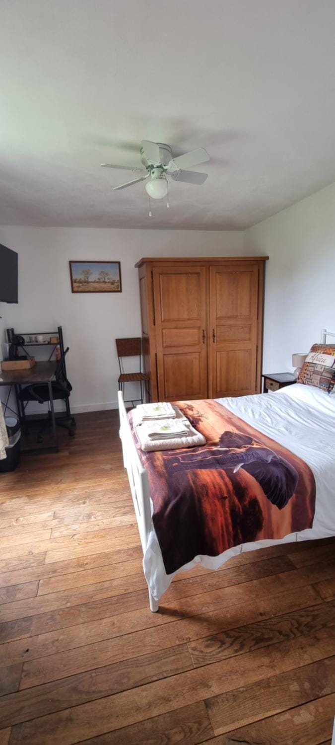 Photo of the whole room
