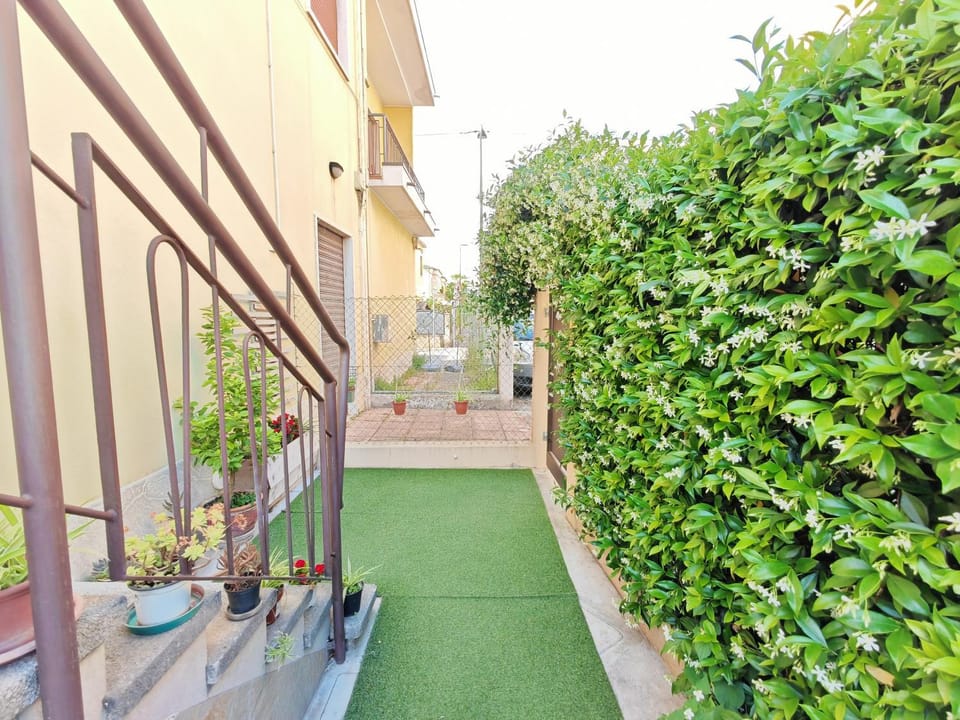 Day, Garden, Garden view
