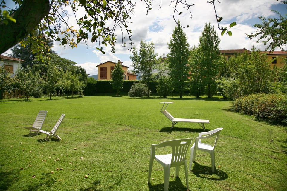Garden, Garden, Solarium, sunbed