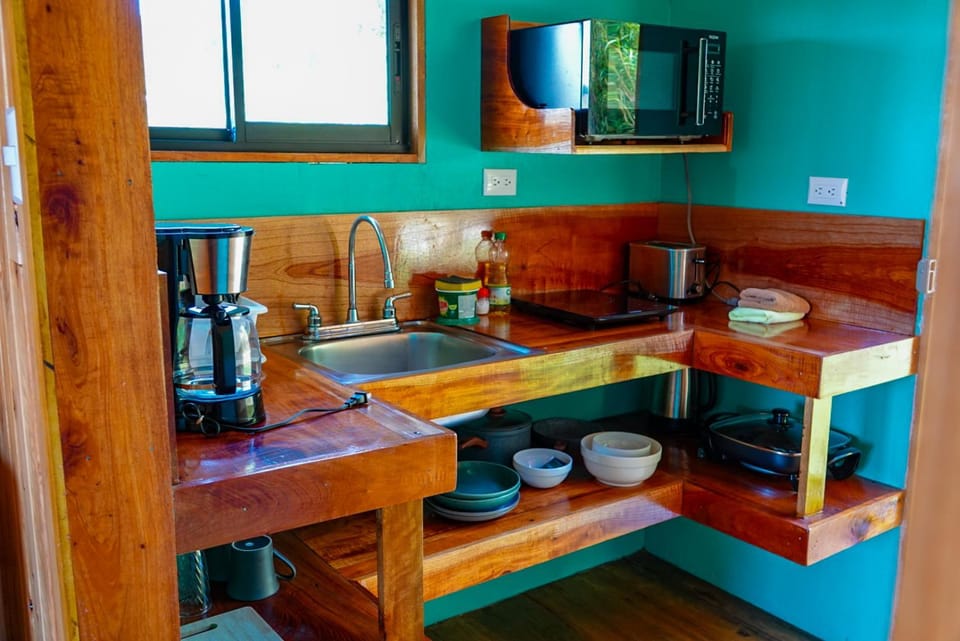 Coffee/tea facilities, Kitchen or kitchenette, minibar, stove
