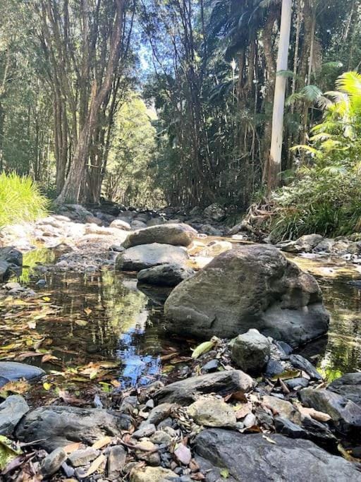 Oasis of Hope - Coffs Harbour Hinterland Escape House in New South Wales