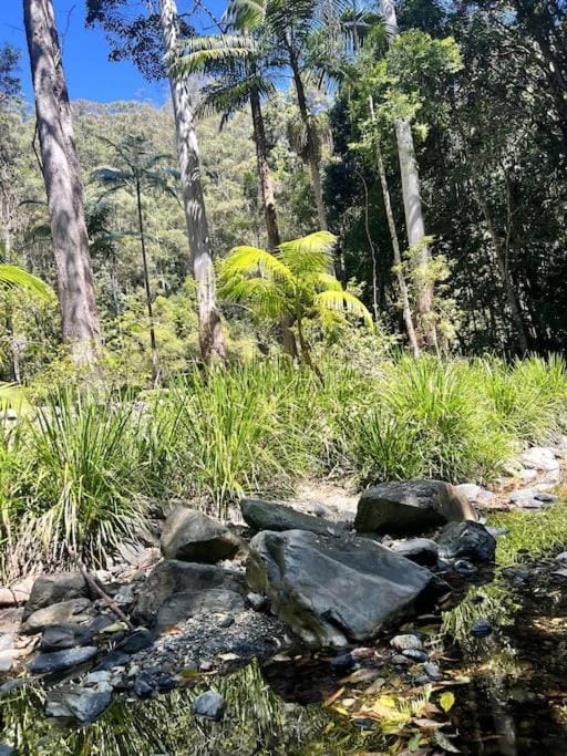 Oasis of Hope - Coffs Harbour Hinterland Escape House in New South Wales