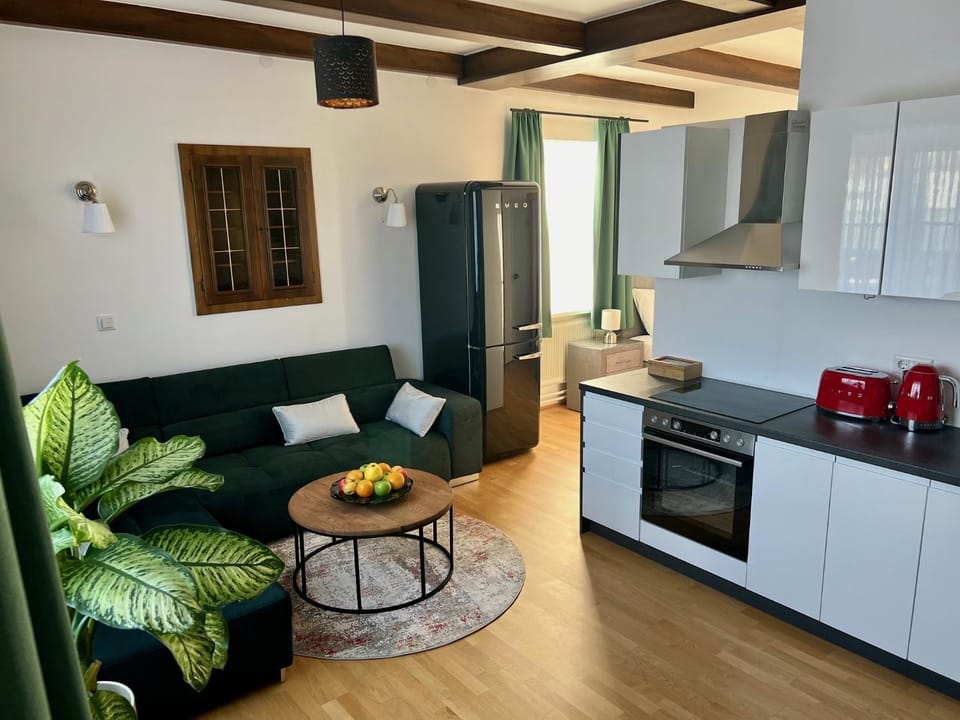 Kitchen or kitchenette, Living room, oven, stove, toaster
