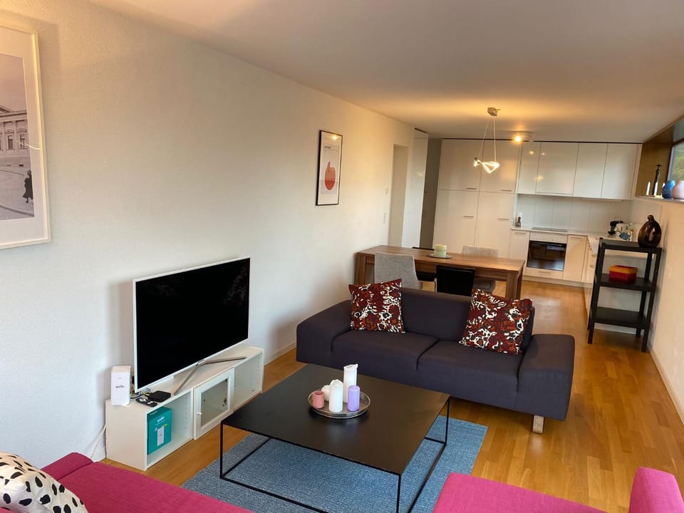 Le Onze Soixante Six Duplex très ensoleillé Apartment in Canton of Vaud