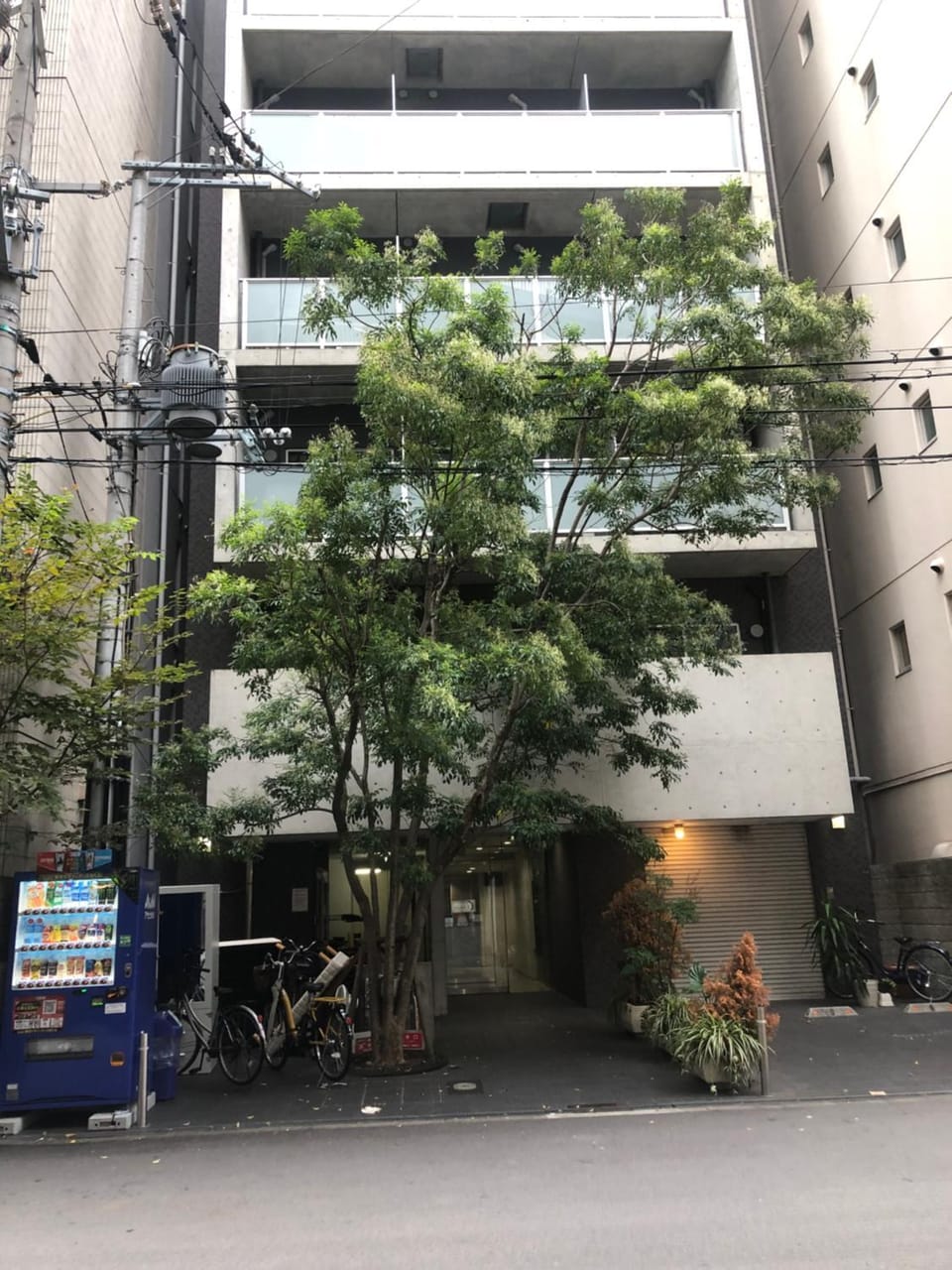 Property building