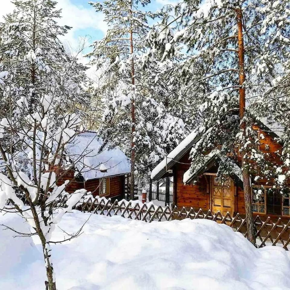 Winter