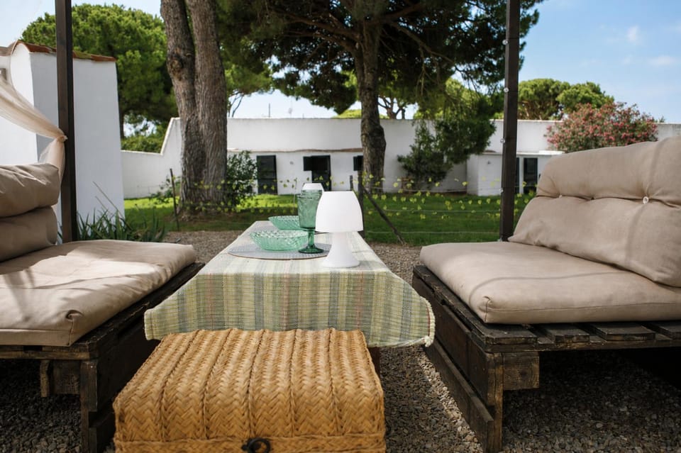 Day, Garden, Garden view
