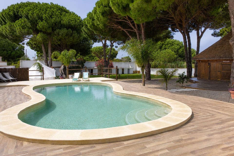 Day, Garden, Swimming pool