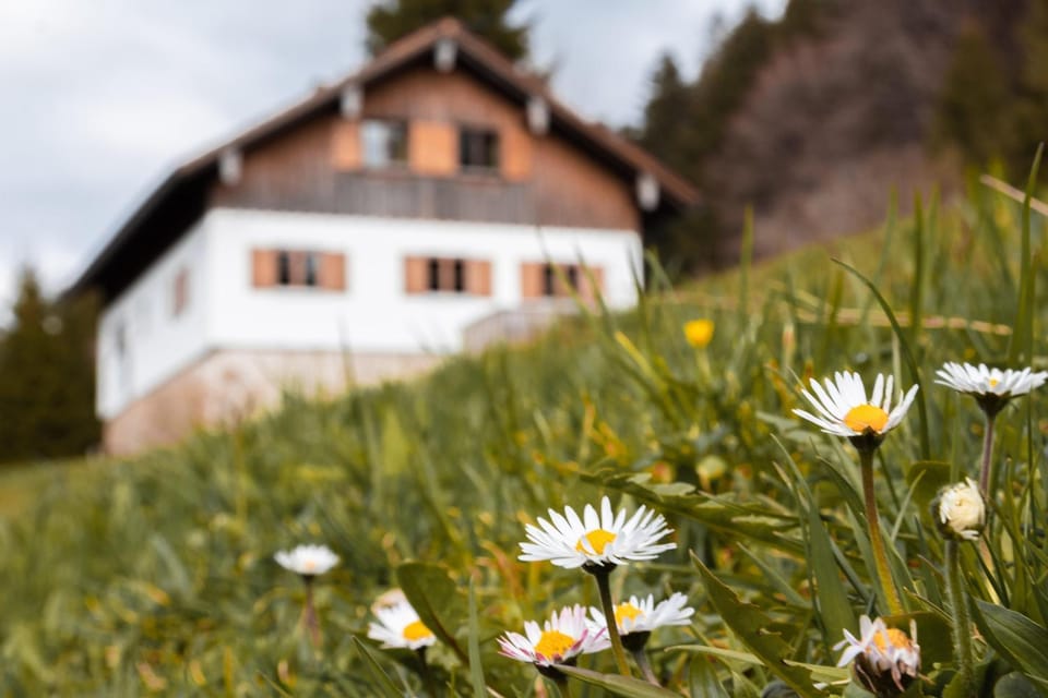 Property building, Spring, Natural landscape, Garden view