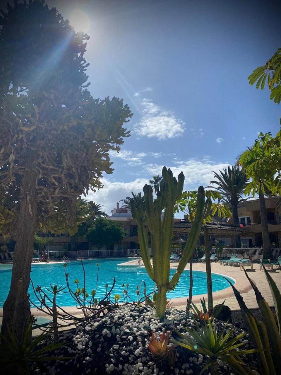 Pool view