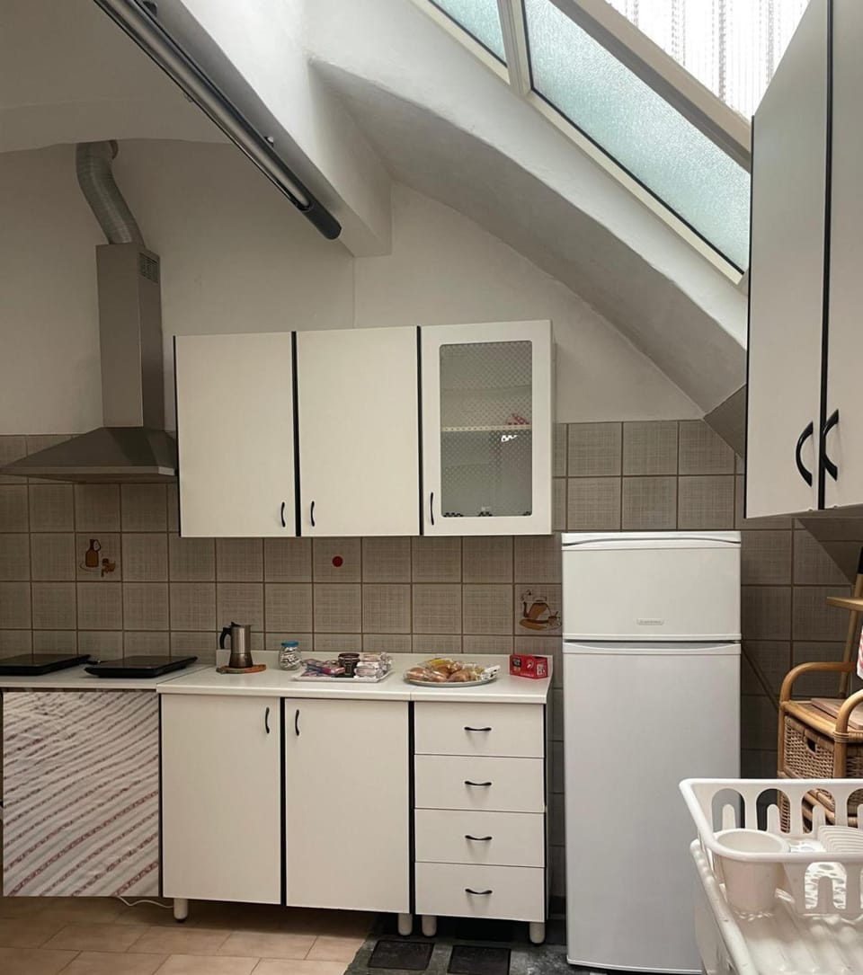 Kitchen or kitchenette, Photo of the whole room, kitchen