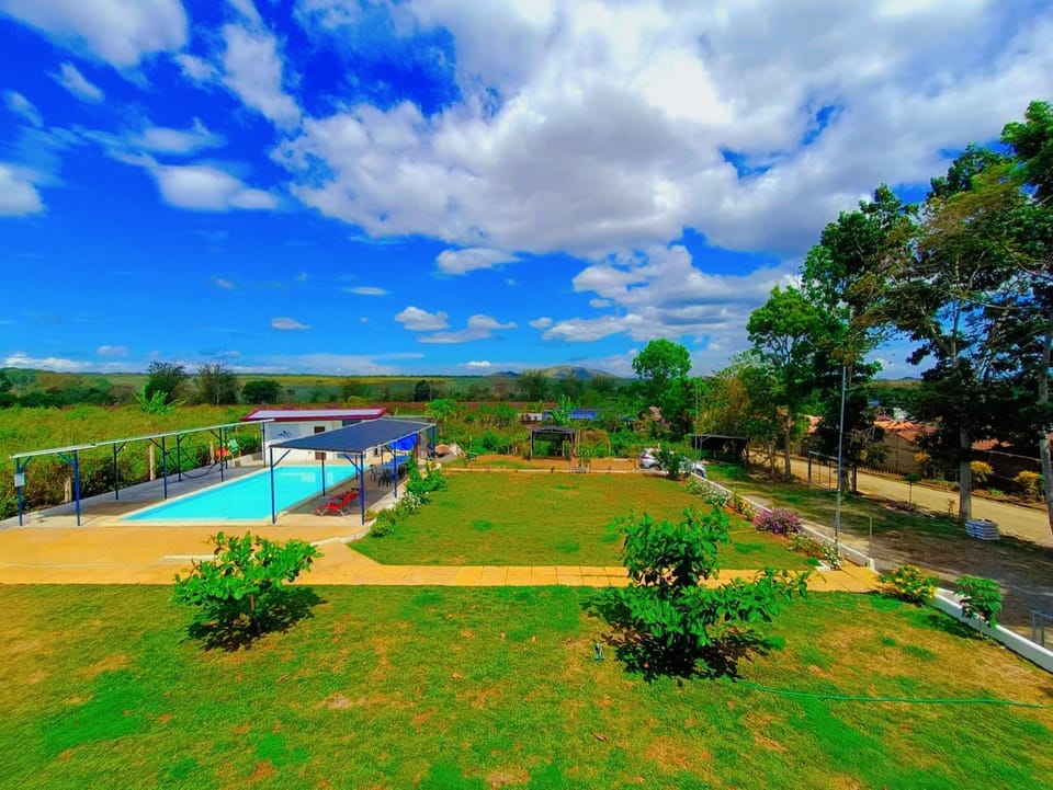 Day, Natural landscape, Garden, Garden view, Pool view, Swimming pool
