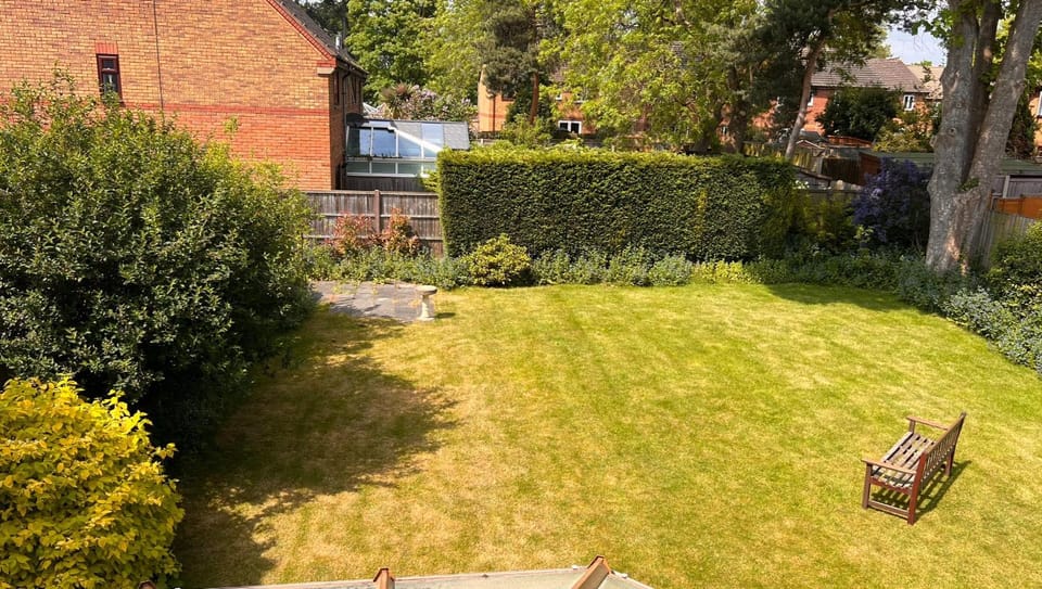 Spring, Day, Natural landscape, Garden, Garden view