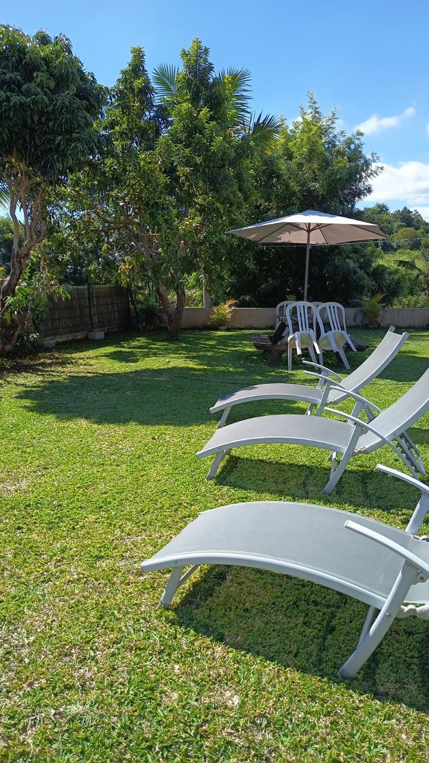 Garden, Garden view, sunbed
