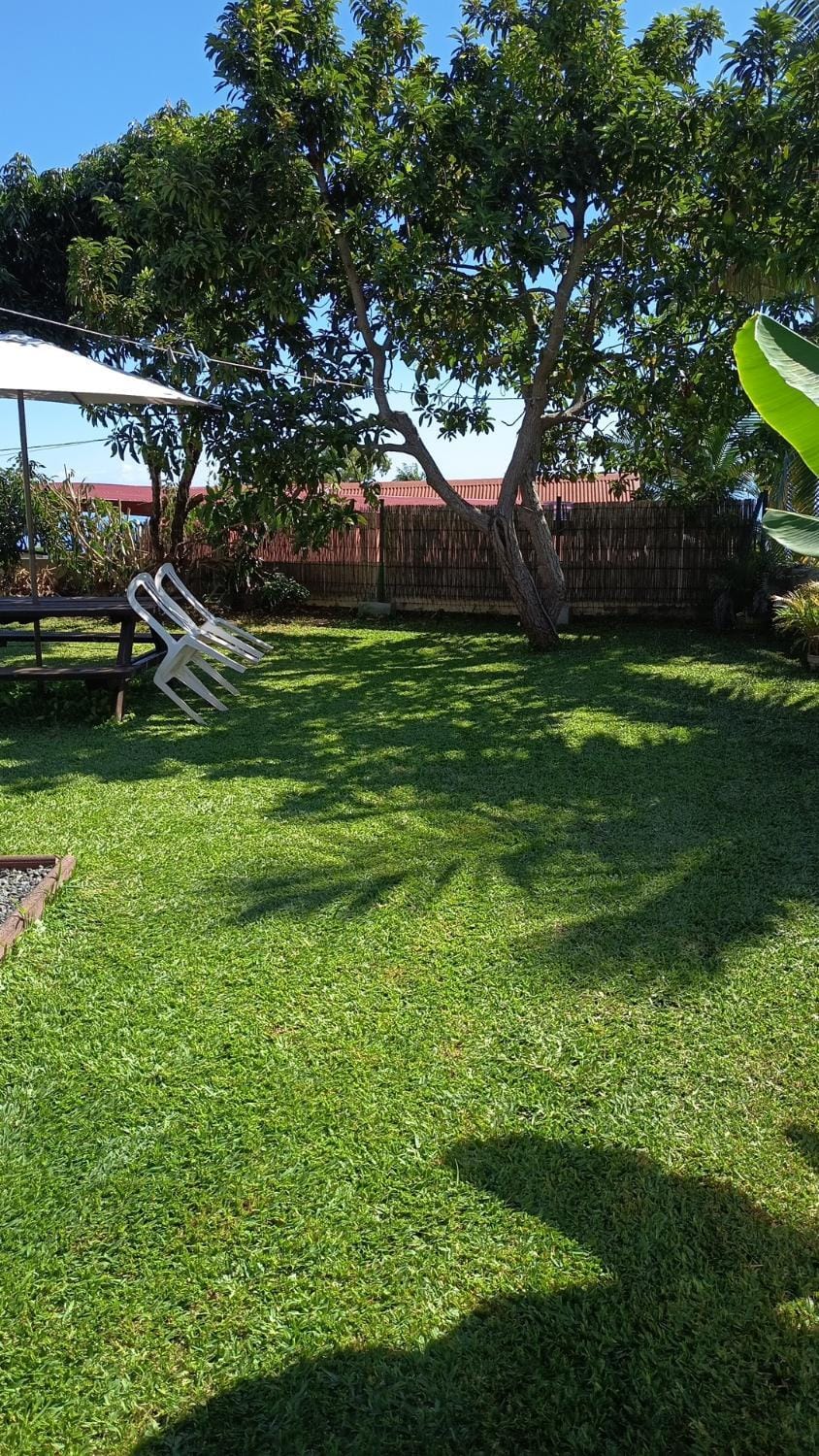Children play ground, Garden, Garden view