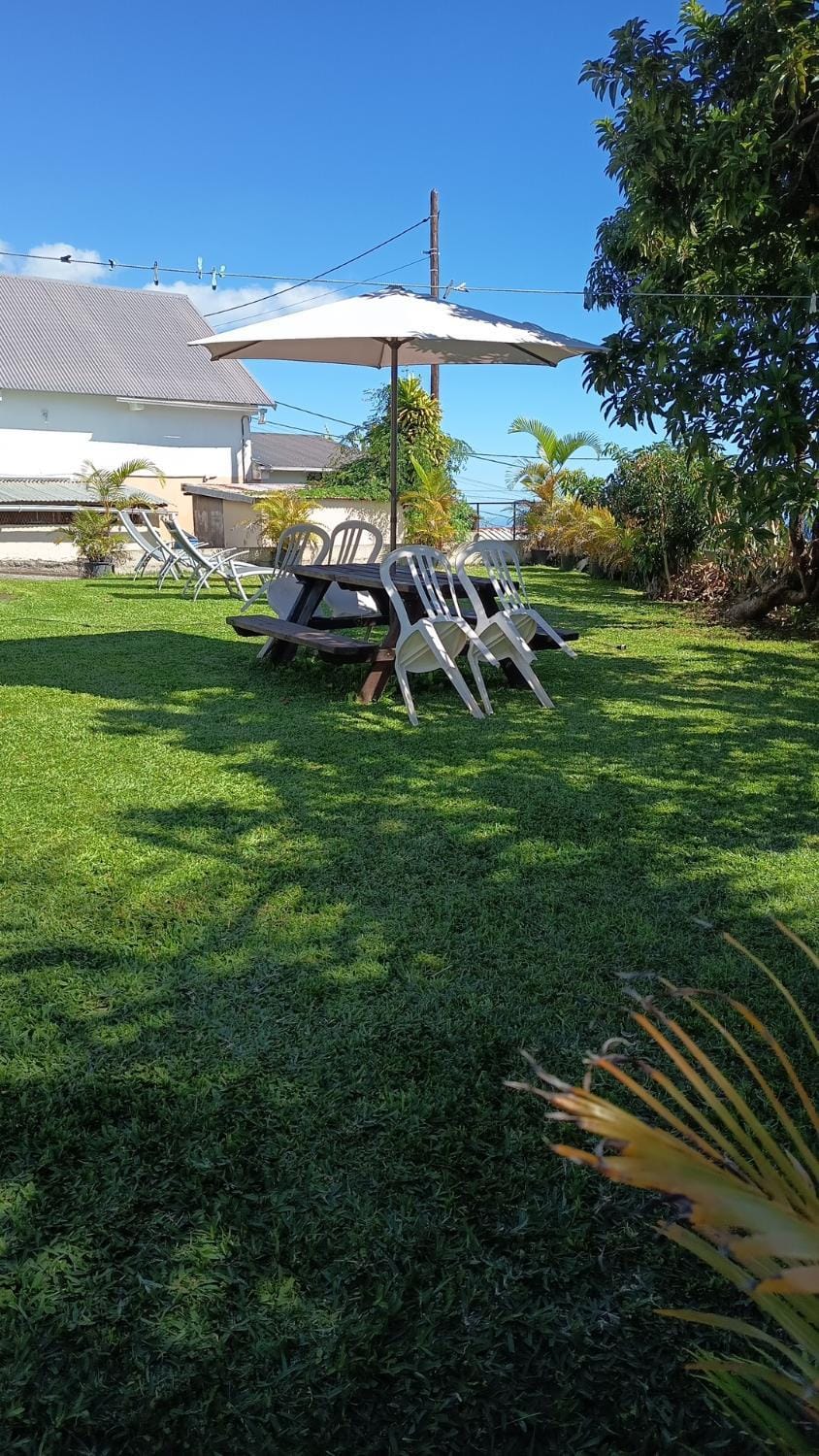 Garden, Garden view, sunbed