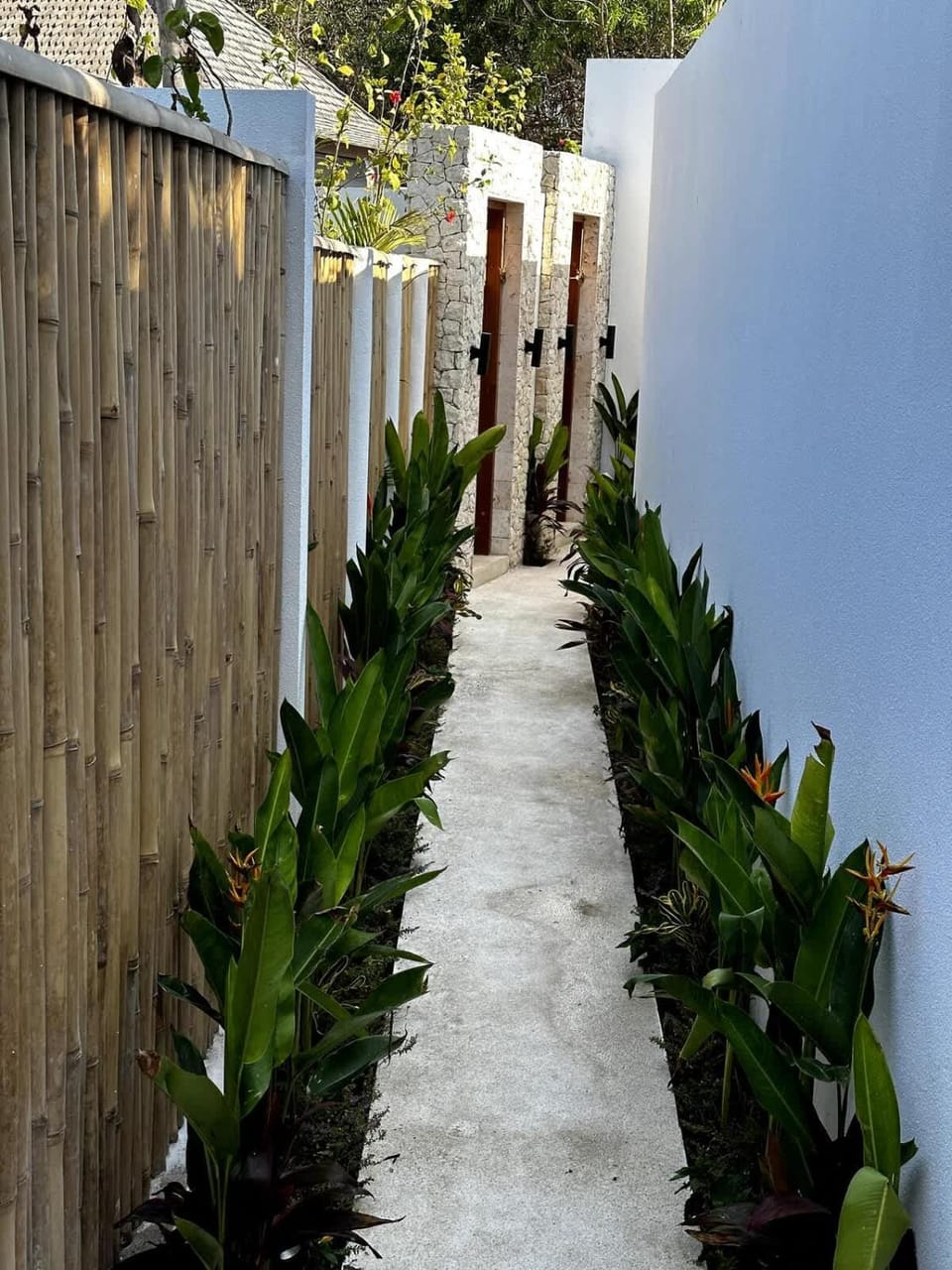 Day, Garden, Garden view
