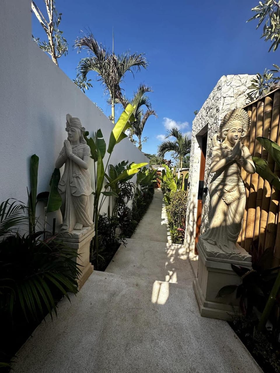 Day, Garden, Garden view