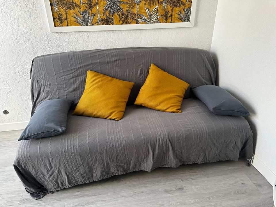 T2 Familiaux - Confort & Plage à Pied Apartment in Saint-Cyprien