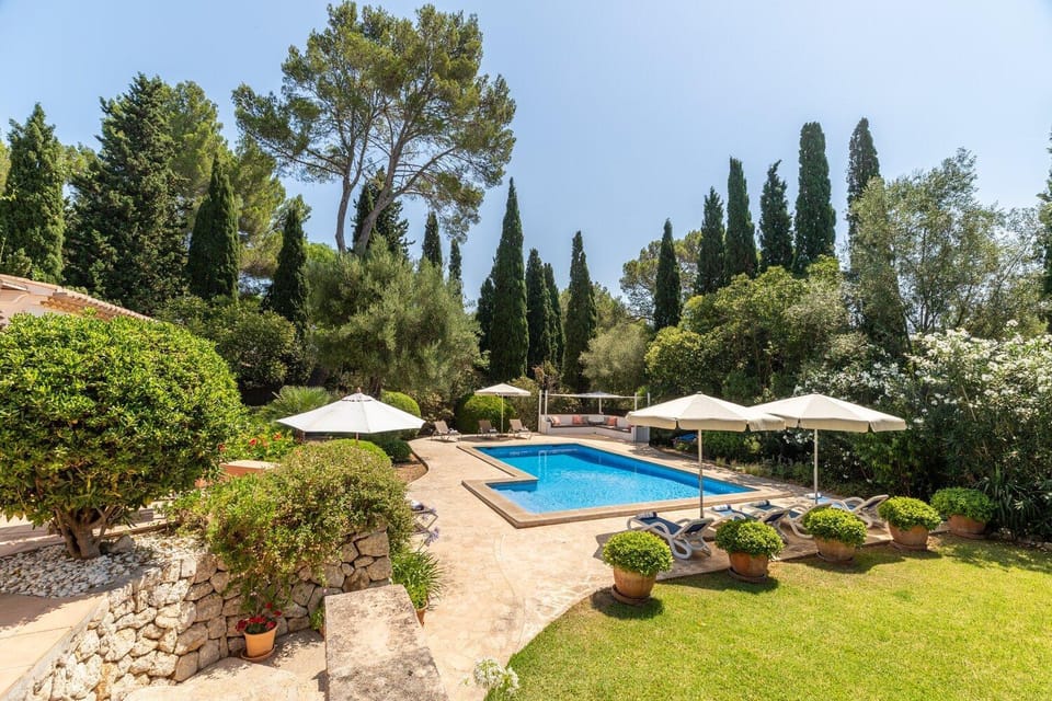 Patio, Spring, Off site, Day, Natural landscape, Summer, Garden, Solarium, Garden view, Pool view, Swimming pool, Inner courtyard view, sunbed