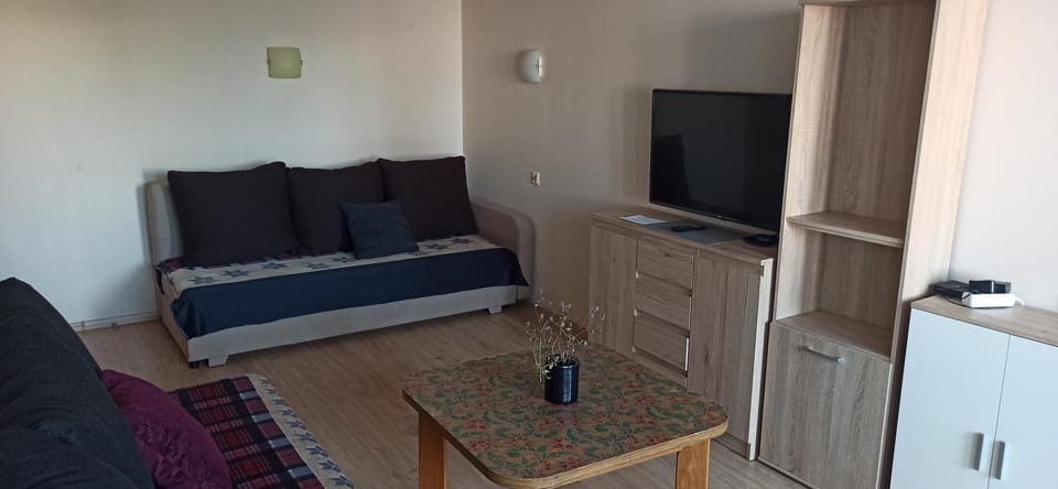 Rapunselė Apartment in Lithuania