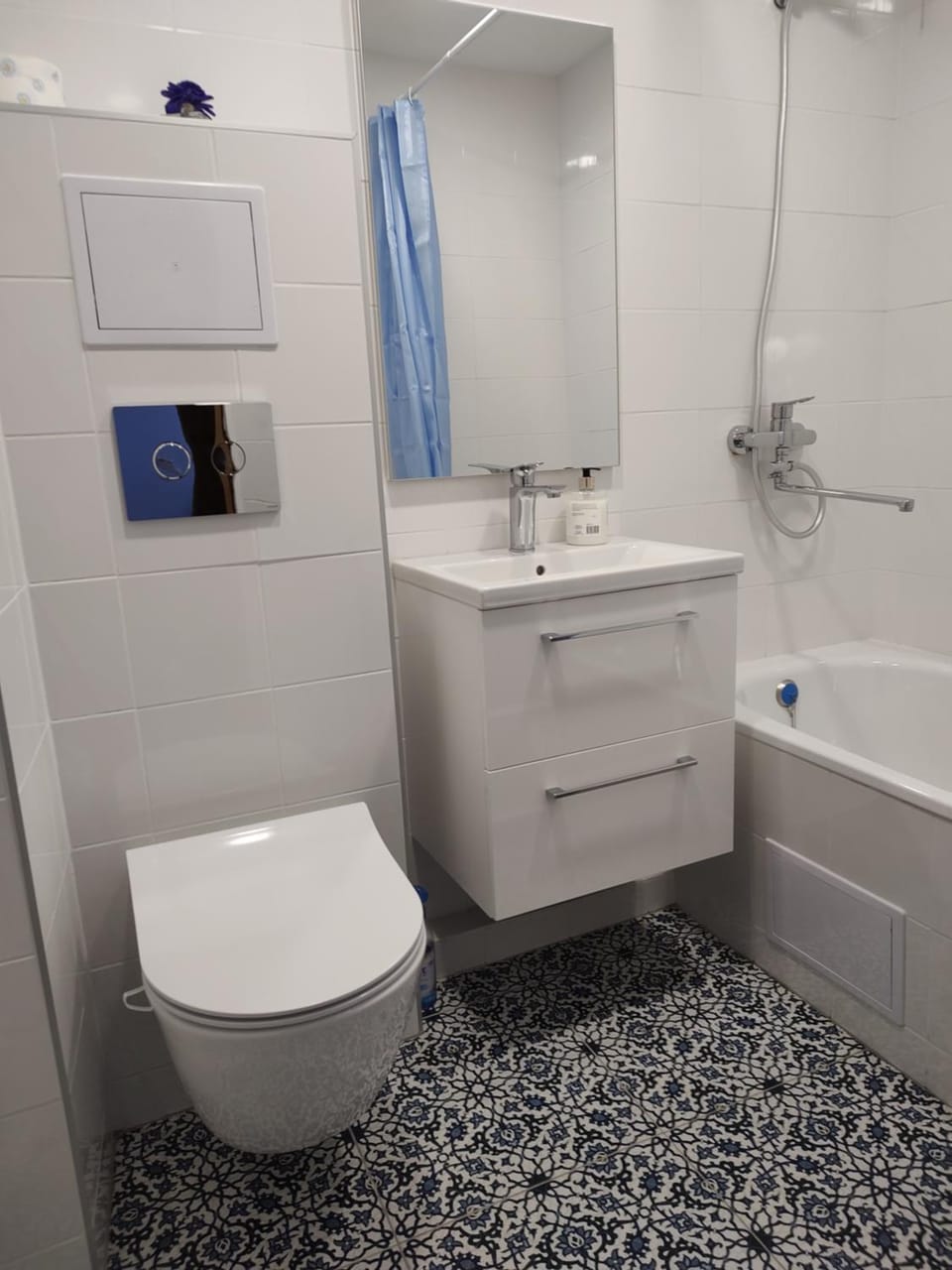 Rapunselė Apartment in Lithuania