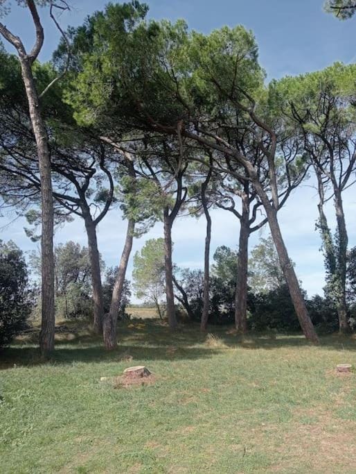 Gîte la lavande provençale Apartment in Provence