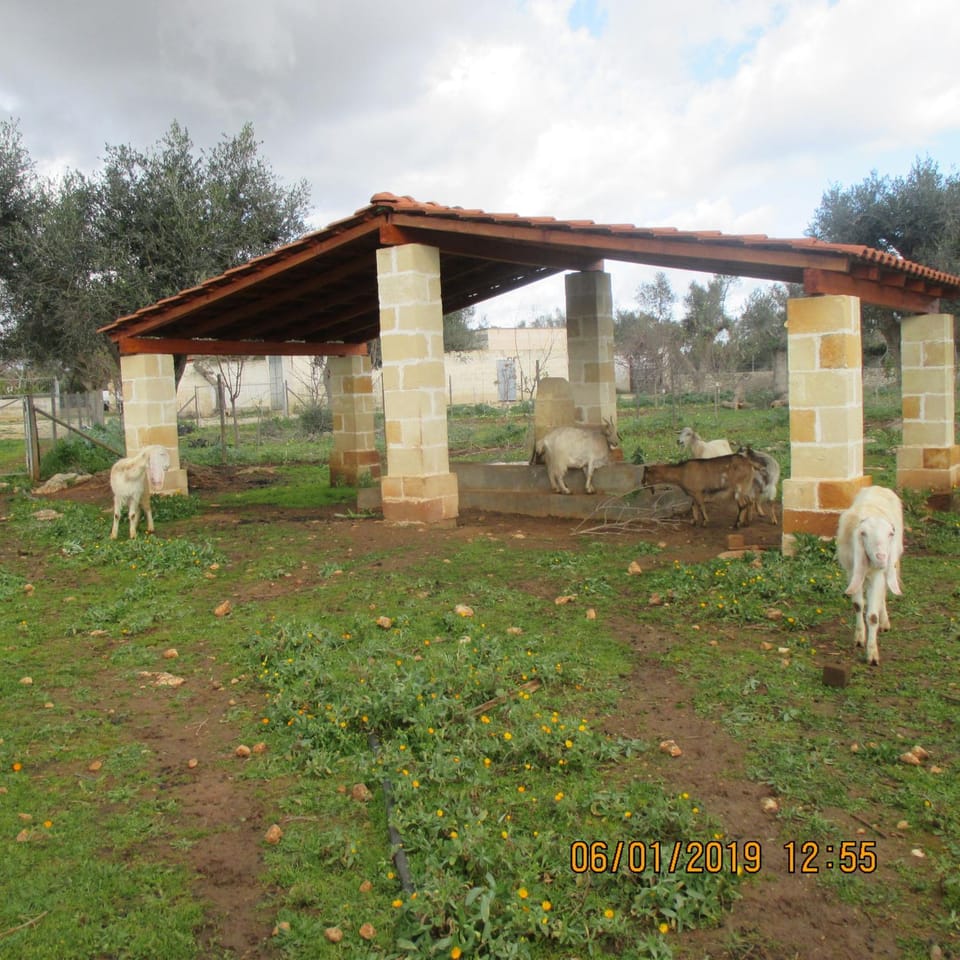 Masseria San Vito - Villa con Piscina Villa in Apulia