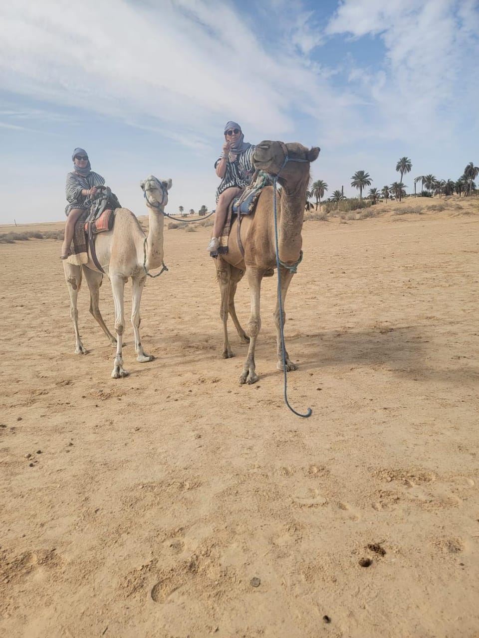 Private Camp25km-from DOUZ Luxury tent in Tunisia