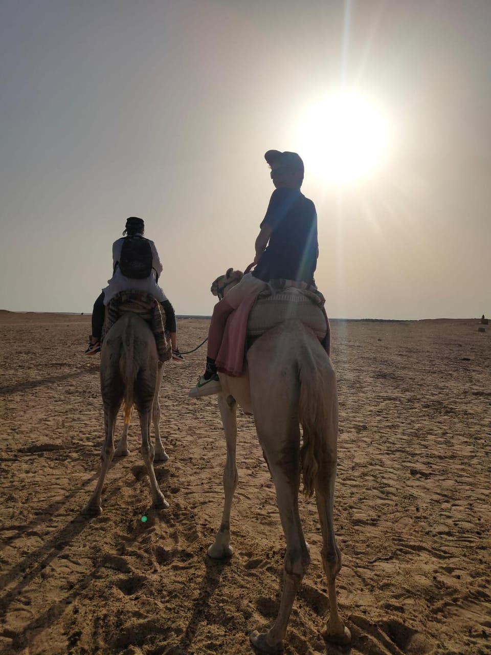 Private Camp25km-from DOUZ Luxury tent in Tunisia