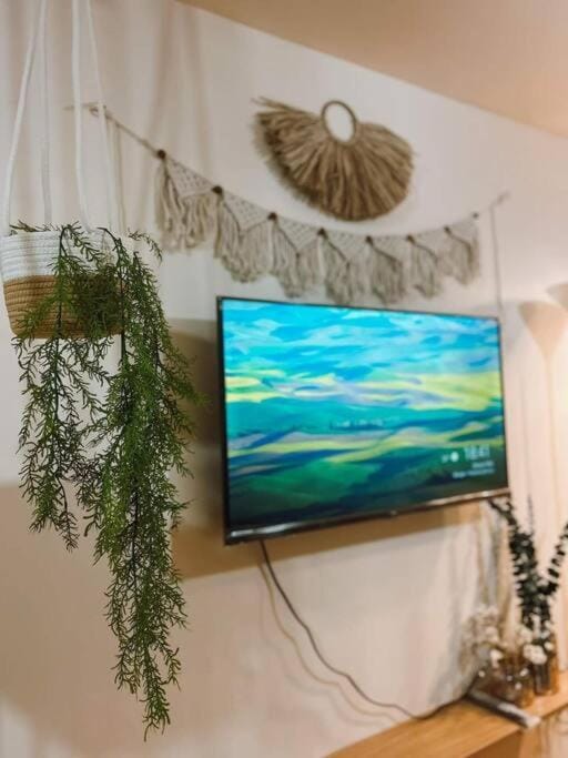 Communal lounge/ TV room, TV and multimedia, Evening entertainment