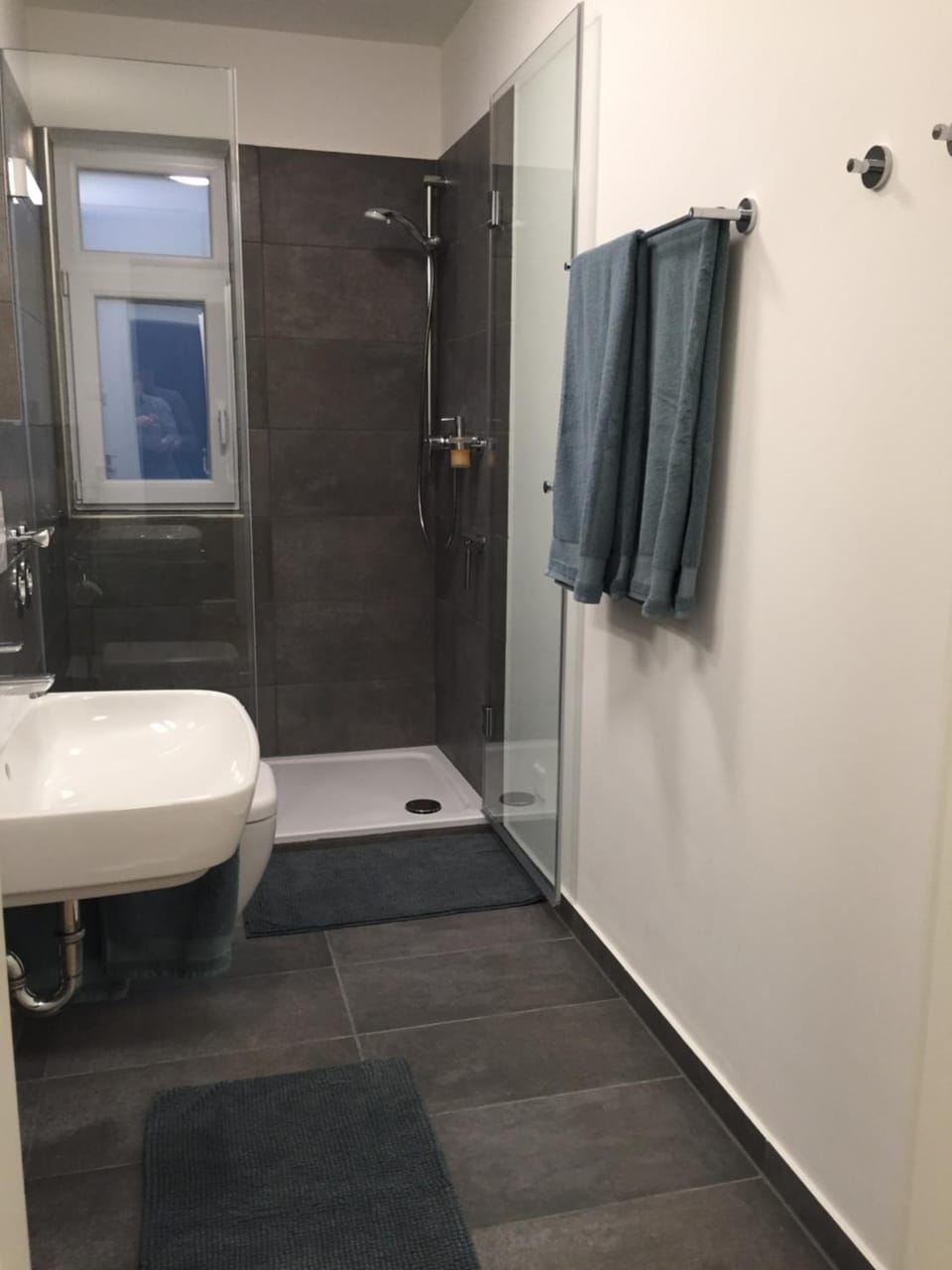 aparthaus felizitas Apartment in Rhineland-Palatinate