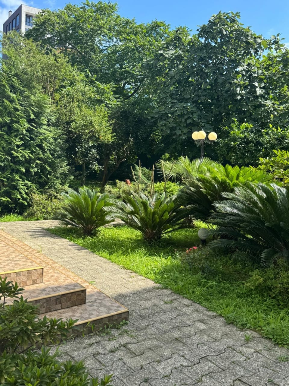 Guest House Giorgi Bed and Breakfast in Adjara, Georgia