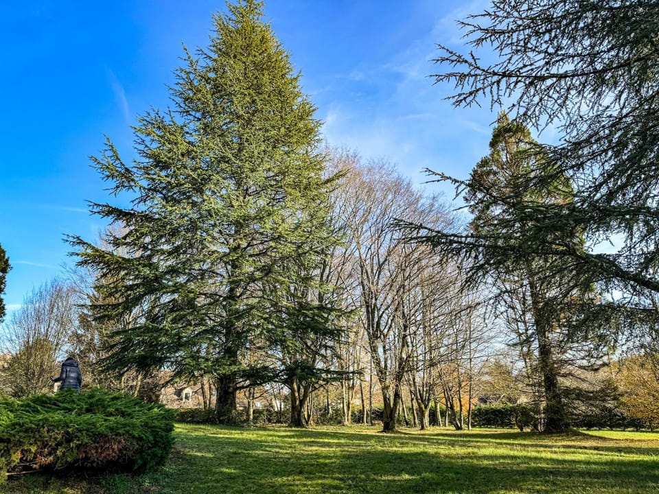 Garden, Garden view