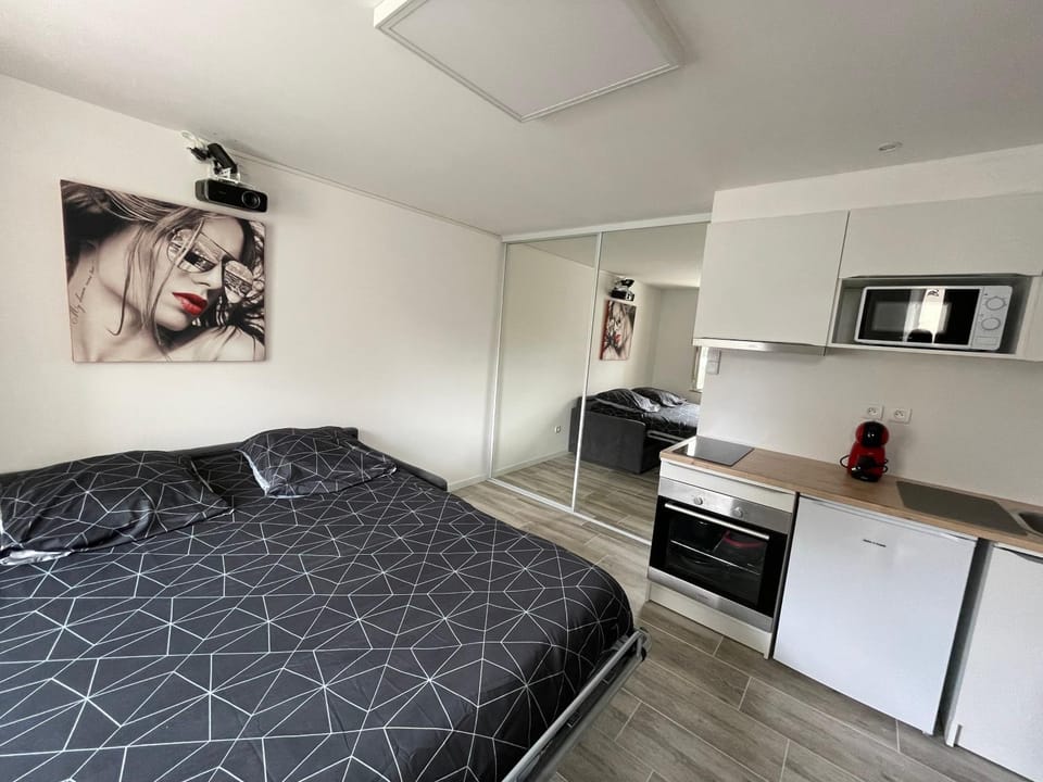 Studio Love Room spa 2 places et cinéma Apartment in Île-de-France