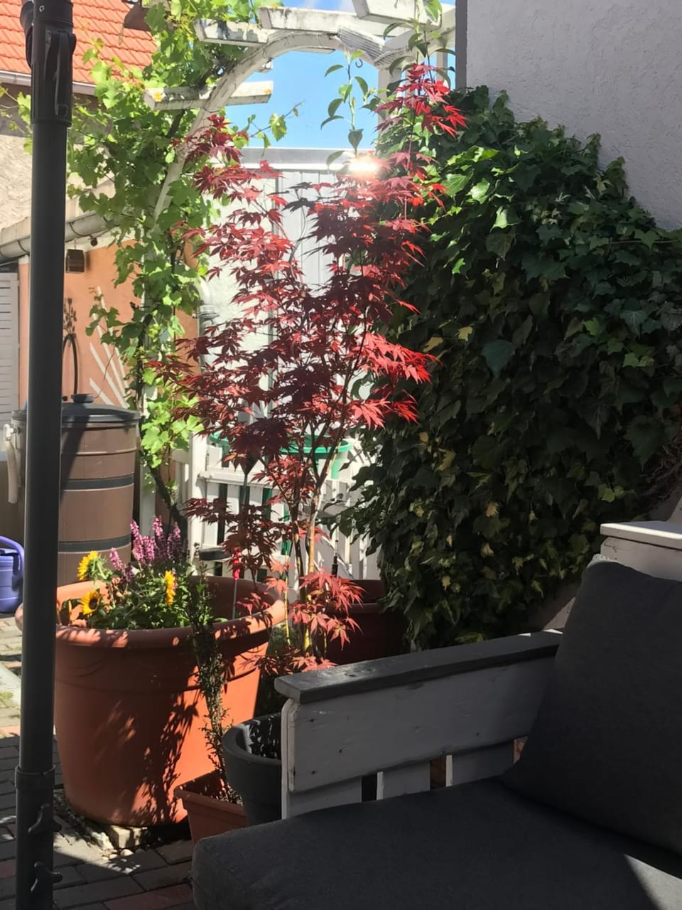 Property building, Patio, Garden