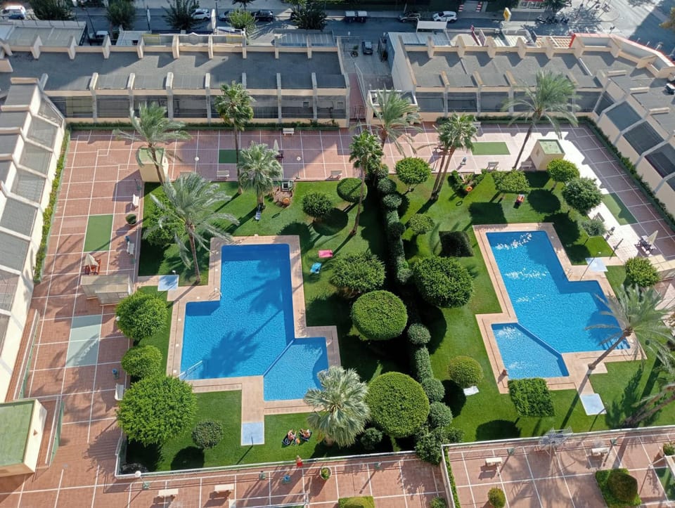 Garden, Garden view, Swimming pool