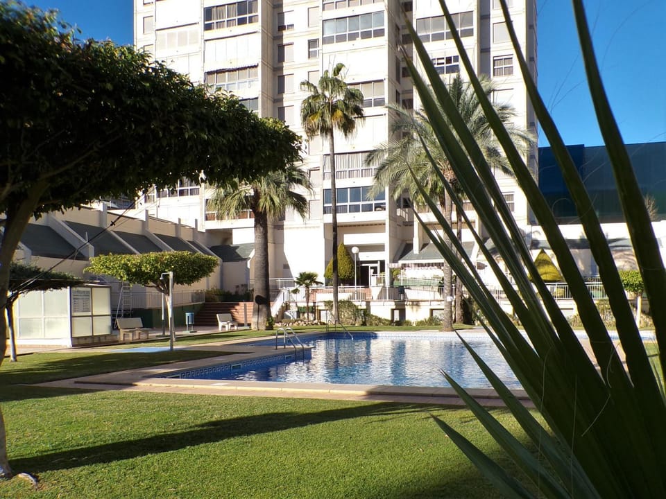 Garden, Swimming pool