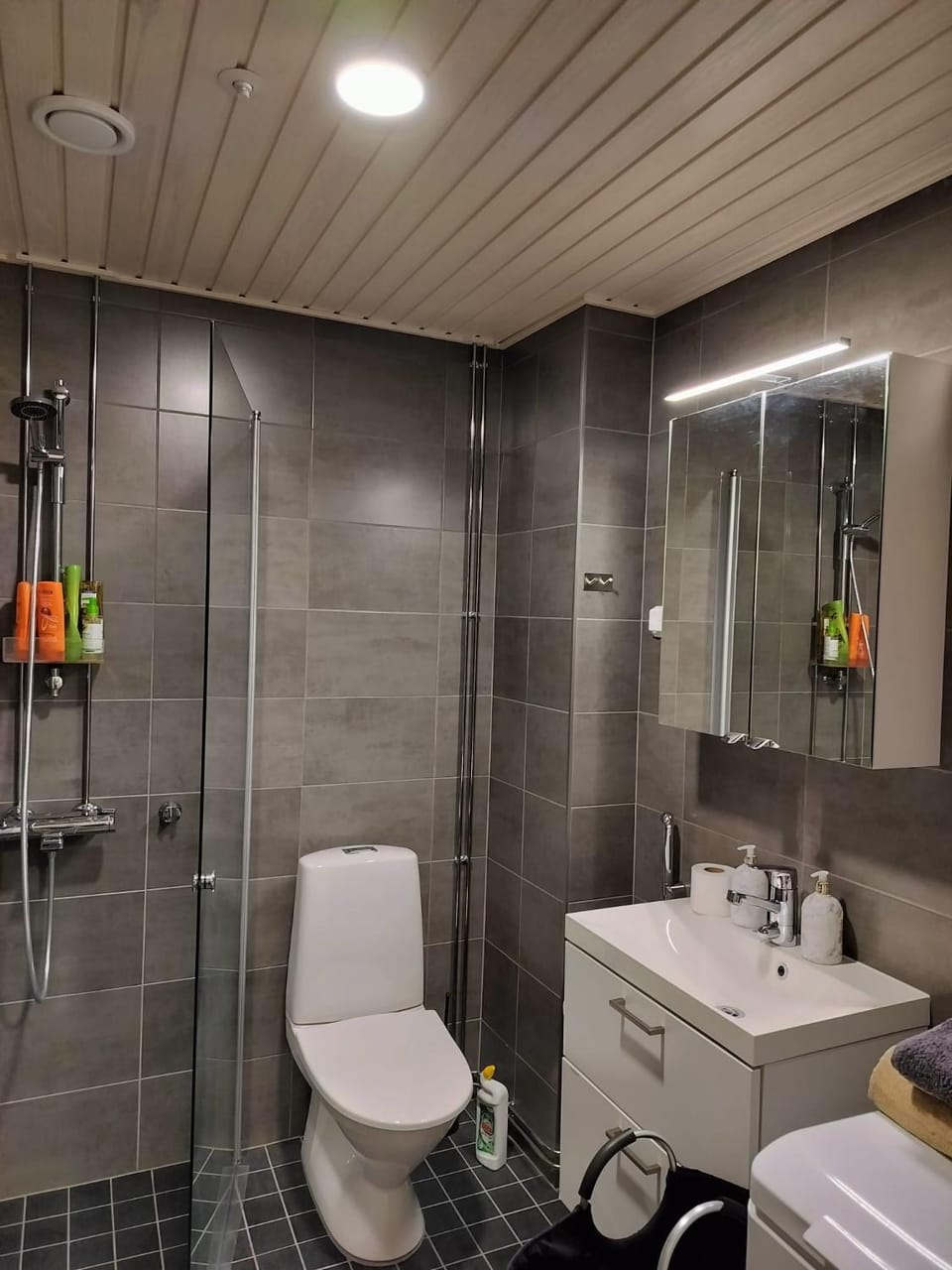 StyleStudio Areena2 Apartment in Finland
