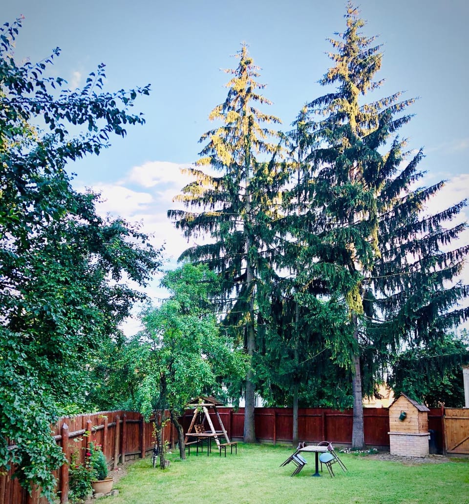 Pensiunea Oppidum Bed and Breakfast in Romania