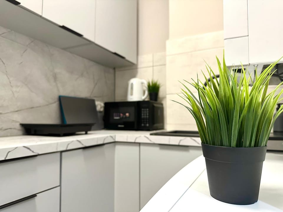 Kitchen or kitchenette, minibar