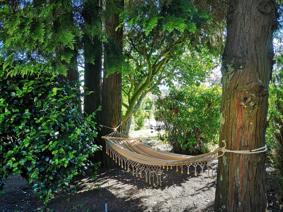 Patio, Garden