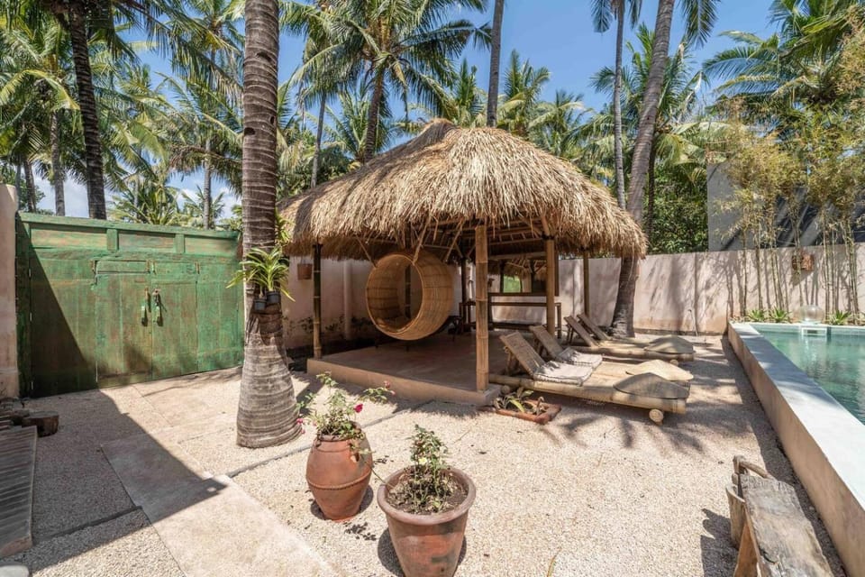Property building, Patio, Day, Garden, Garden view, Pool view, Swimming pool, sunbed
