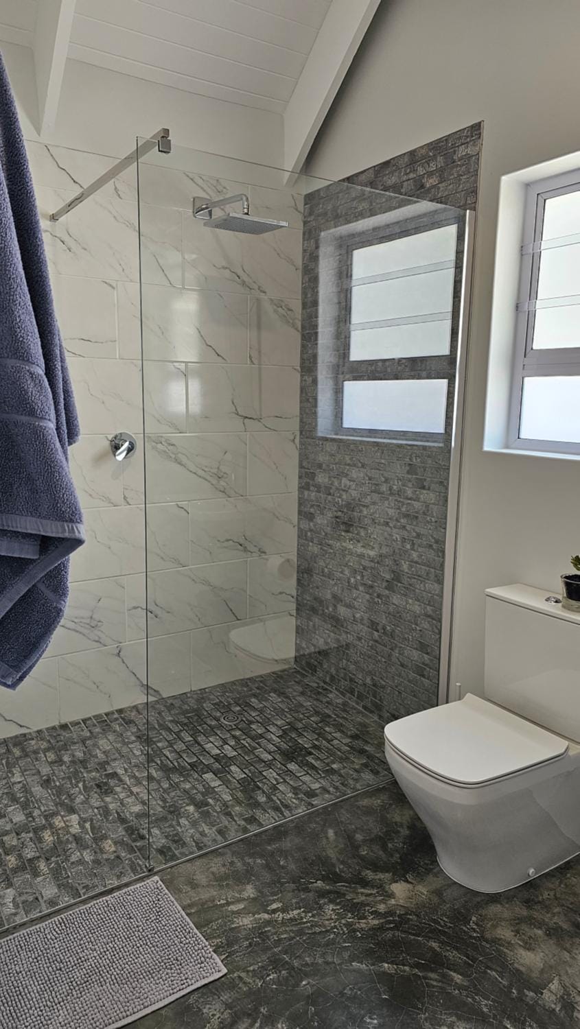 Shower, Toilet, towels